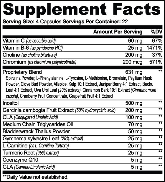 A close-up of a supplement facts label showing a supplement blend with ingredients listed under Proprietary Blend and a list of active ingredients including Vitamin C, Vitamin B6, Choline, Chromium, Insolitin, and GLA.